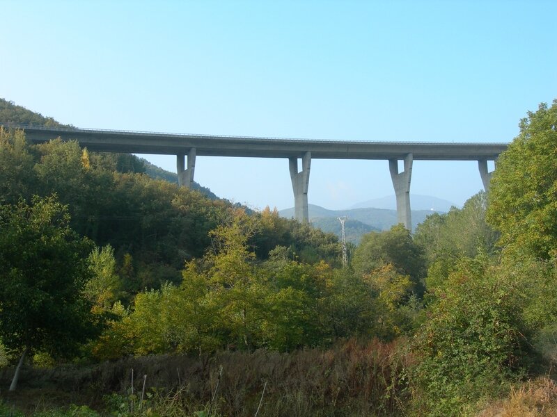 DSCN8554