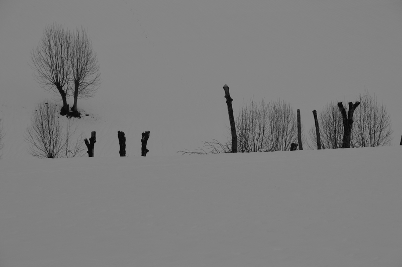 DSC_0138 (2)