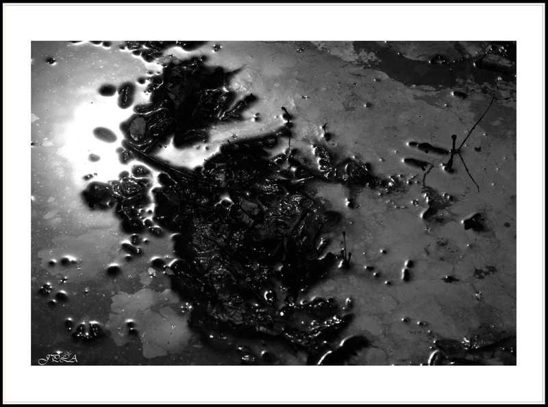 14 04 13 14 04 01 105macro 9686 b