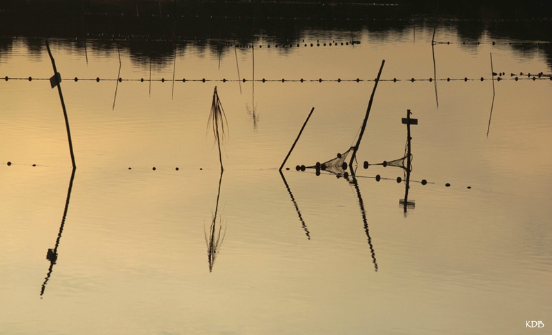 2013_2013_10_13_9999_144blog2