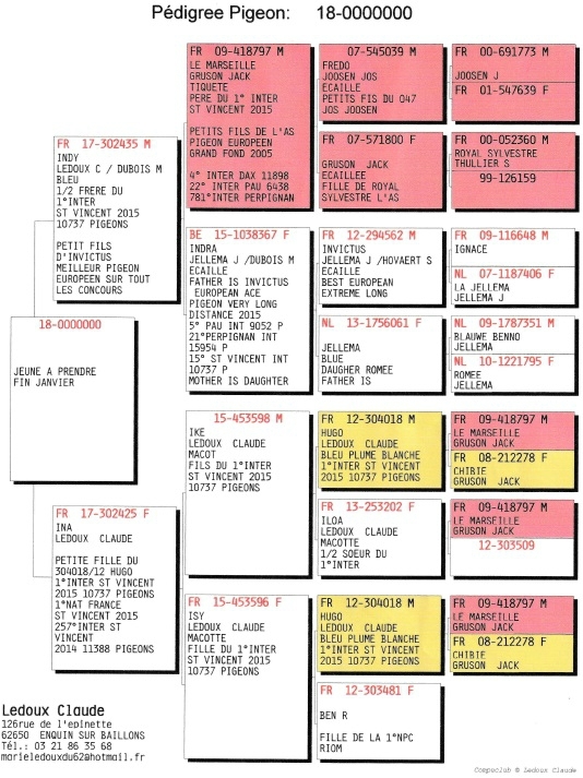 Pedigree C