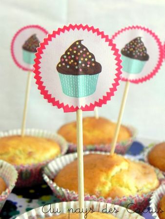 Muffins framboises-pécans Au pays des Cactus 4