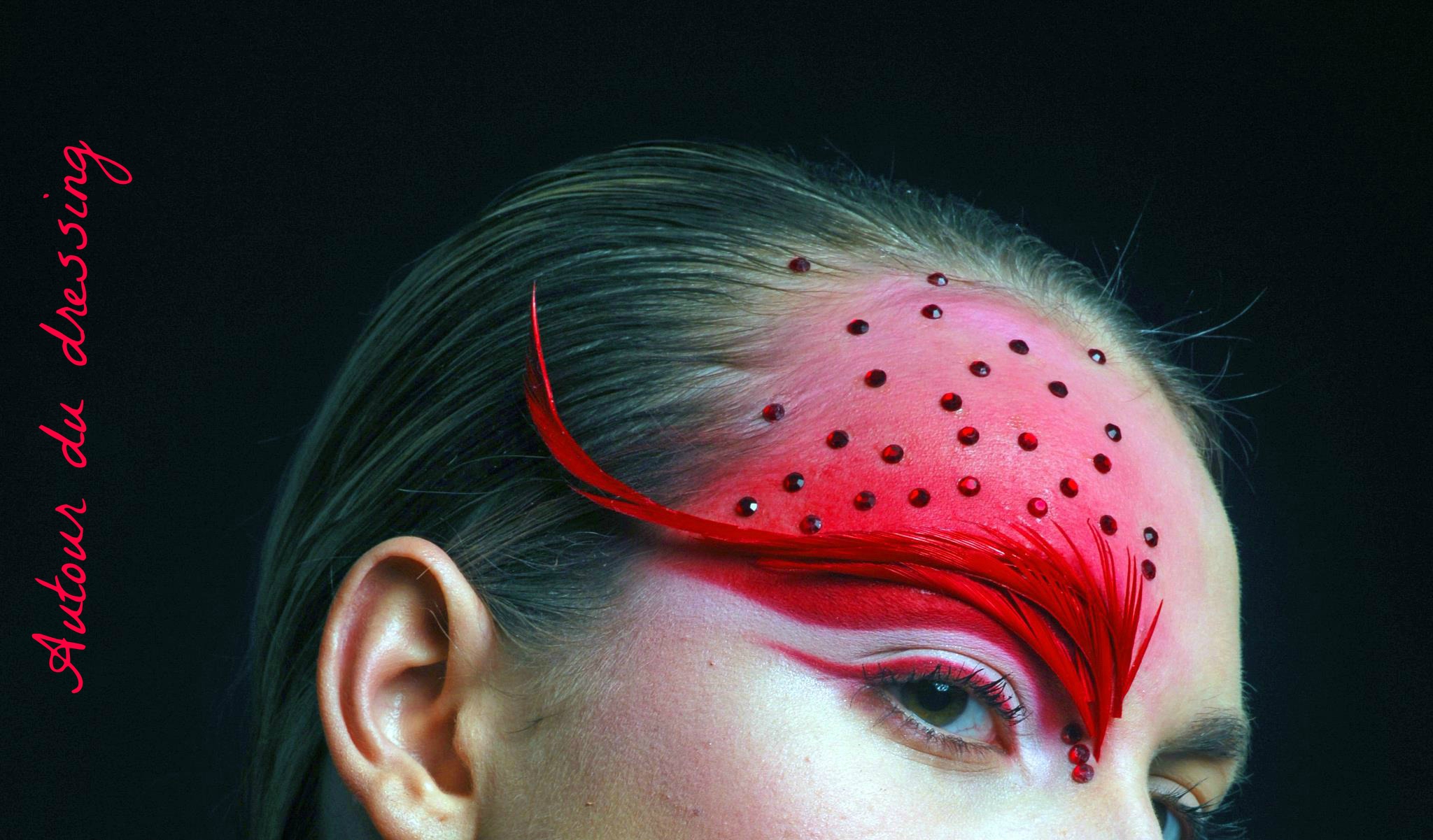 maquillage artistique tuto oiseau rouge