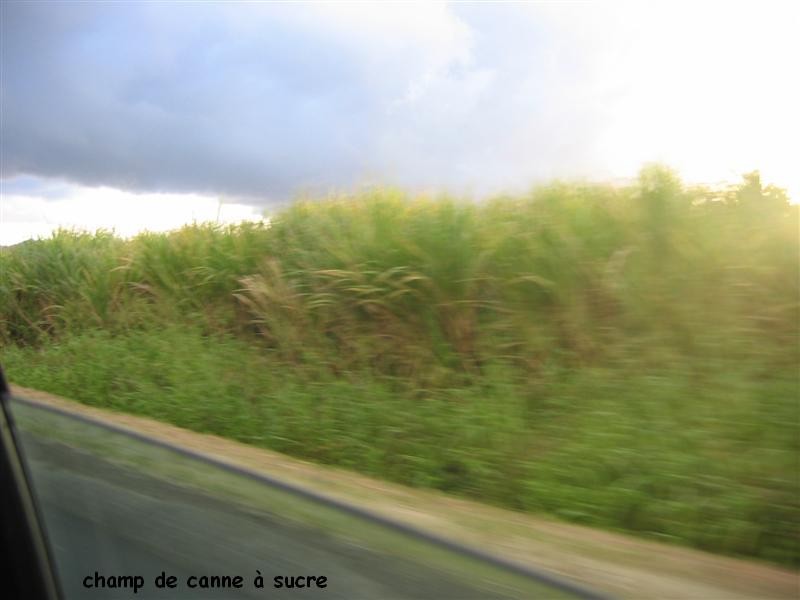 Site de rencontre pour la guyane