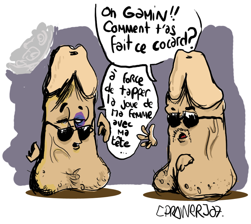 Le_cocard