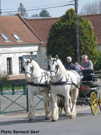 rencontre voitures anciennes saignelégier