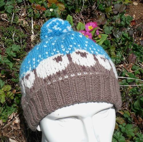 blog tricot bonnet