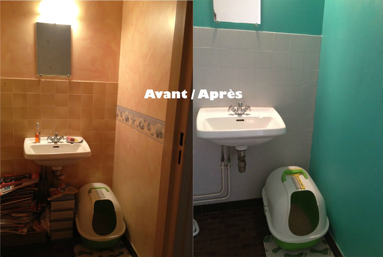 Déco wc bleu lagon