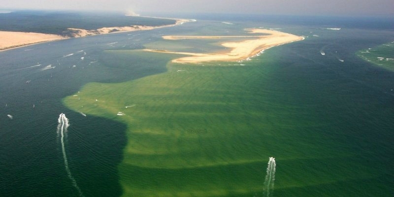 Photo-bancs d'Arguin-Dune du Pyla