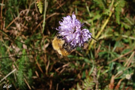 Photo_918