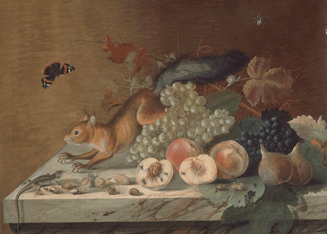 Ecureuil Bévalet NATURE MORTE A L'ECUREUIL 18e