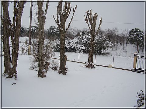 neige4