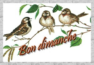 Bonjour tout le monde - Page 10 100437045