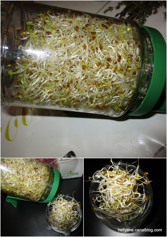 germinoir1