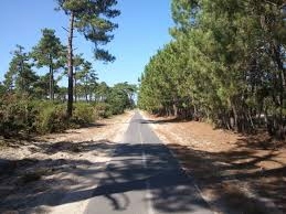 images (18)