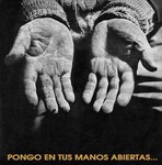 pongo