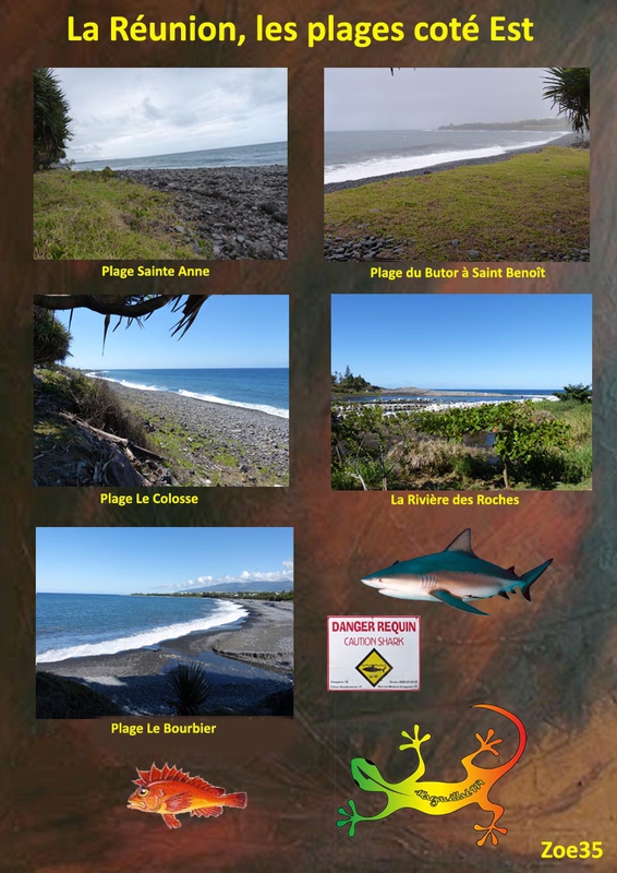 La_R_union__les_plages_cot__Est