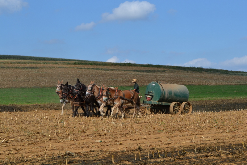 rencontres amish