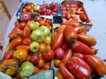 19-tomates du jour (4)
