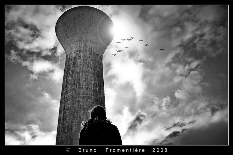 Migration