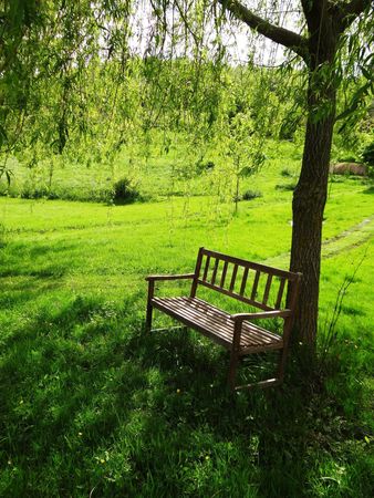 banc