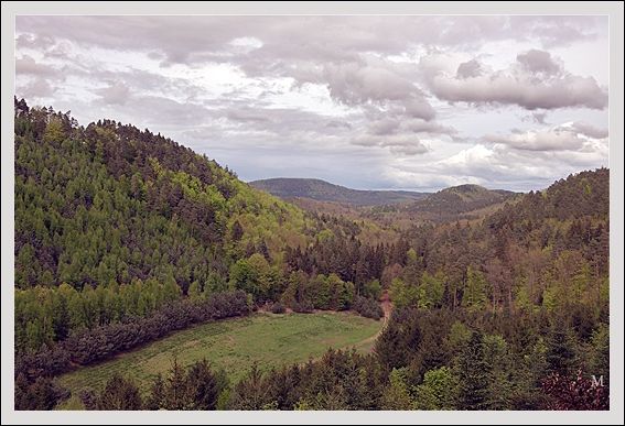 basse-vosges
