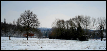 IMG_4248_border