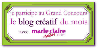 1_macaron_etiqparticipationblogcreati