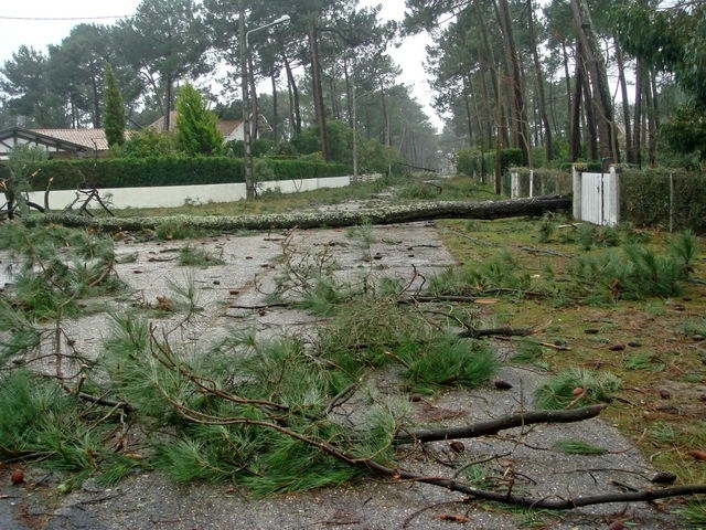 Photo-degats-vents-tempete-biscarosse-plage-chateau-eau-neuf