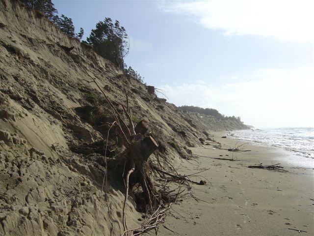Photo-petit-Nice-03-03-2014-dsc03775-r