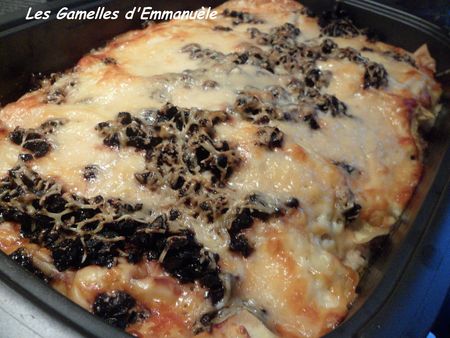 lasagnesmmmSAM_1528