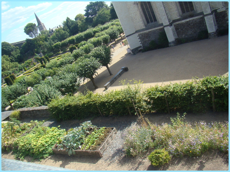 angers6