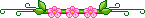 divider pink flowers