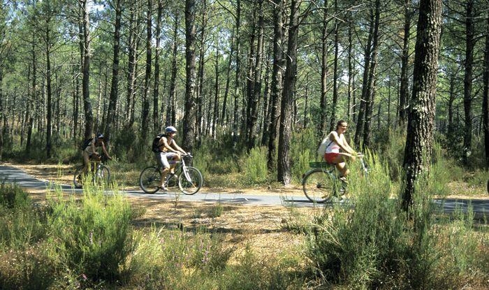 foret-landes-camping-le-boudigau