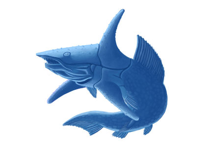 murindalapsis