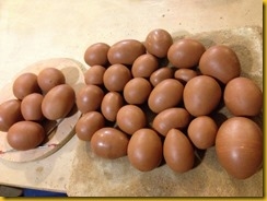 IMG_4831 IMG_4831