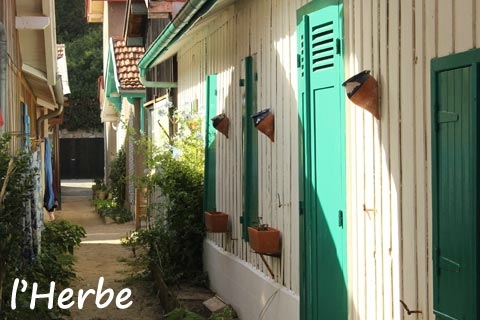 l-herbe-2