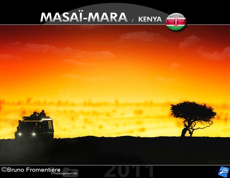 Safari thrill A
