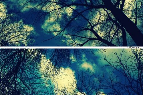 Sky_by_LSDsuicide