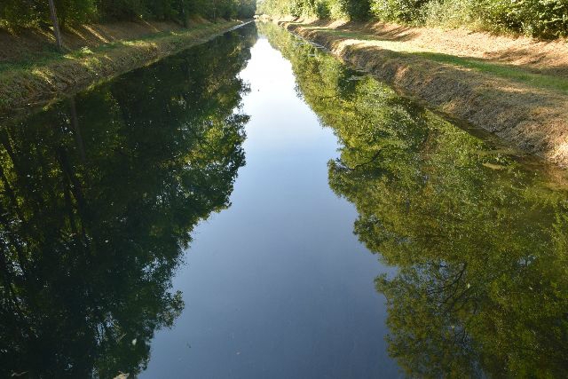 DSC_0869