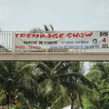 Le trempage show