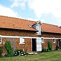 IMGP5484