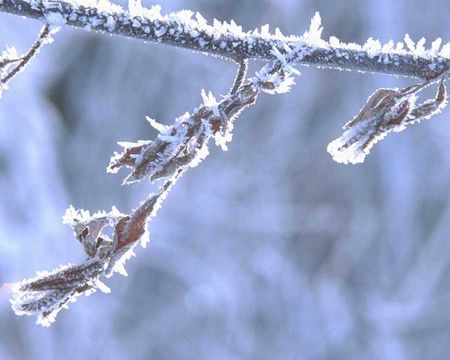 Citations Extraits La Neige Quoi Lire