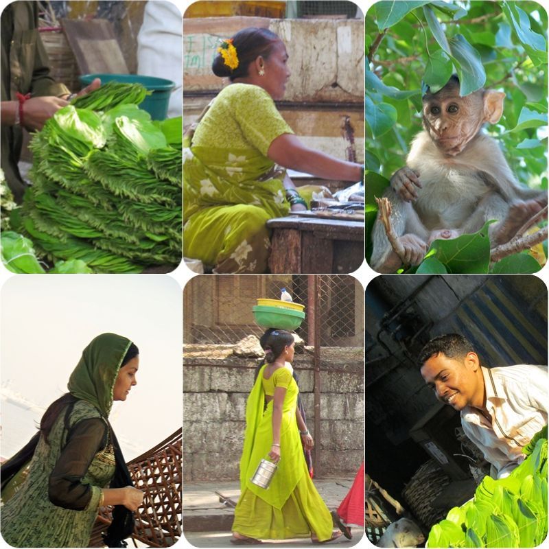 inde verte