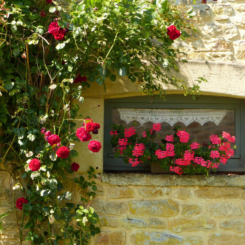 a FENETRES PORTES FLEURIES4