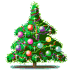 ynoel26