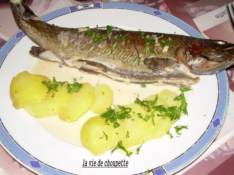 Truites Au Vin Blanc Au Four Quand Choupette Et Papoune Cuisinent