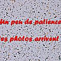 Z-9827 Course du Marais 5 oct. 2014