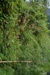 Bord_11 31 05_7088
