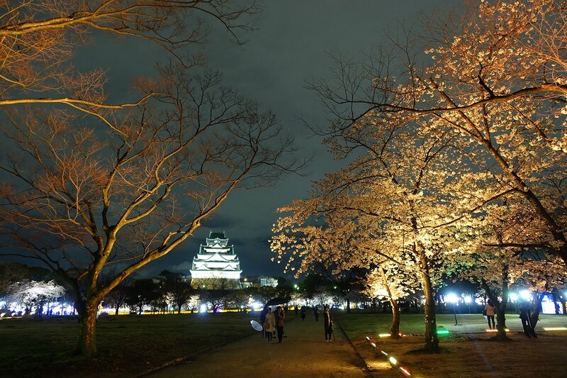 Parc Osaka 1